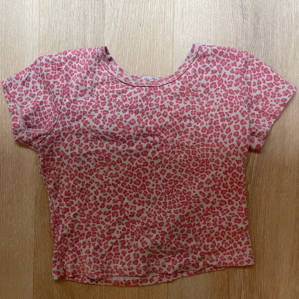 Brandy Melville Crop Top